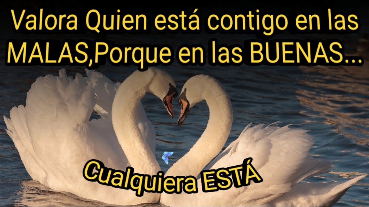 un amigo esta contigo enlas buenas y enlas malas