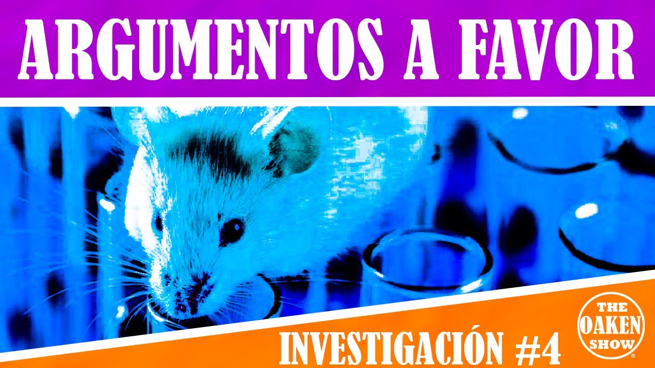 10 argumentos a favor y en contra del maltrato animal