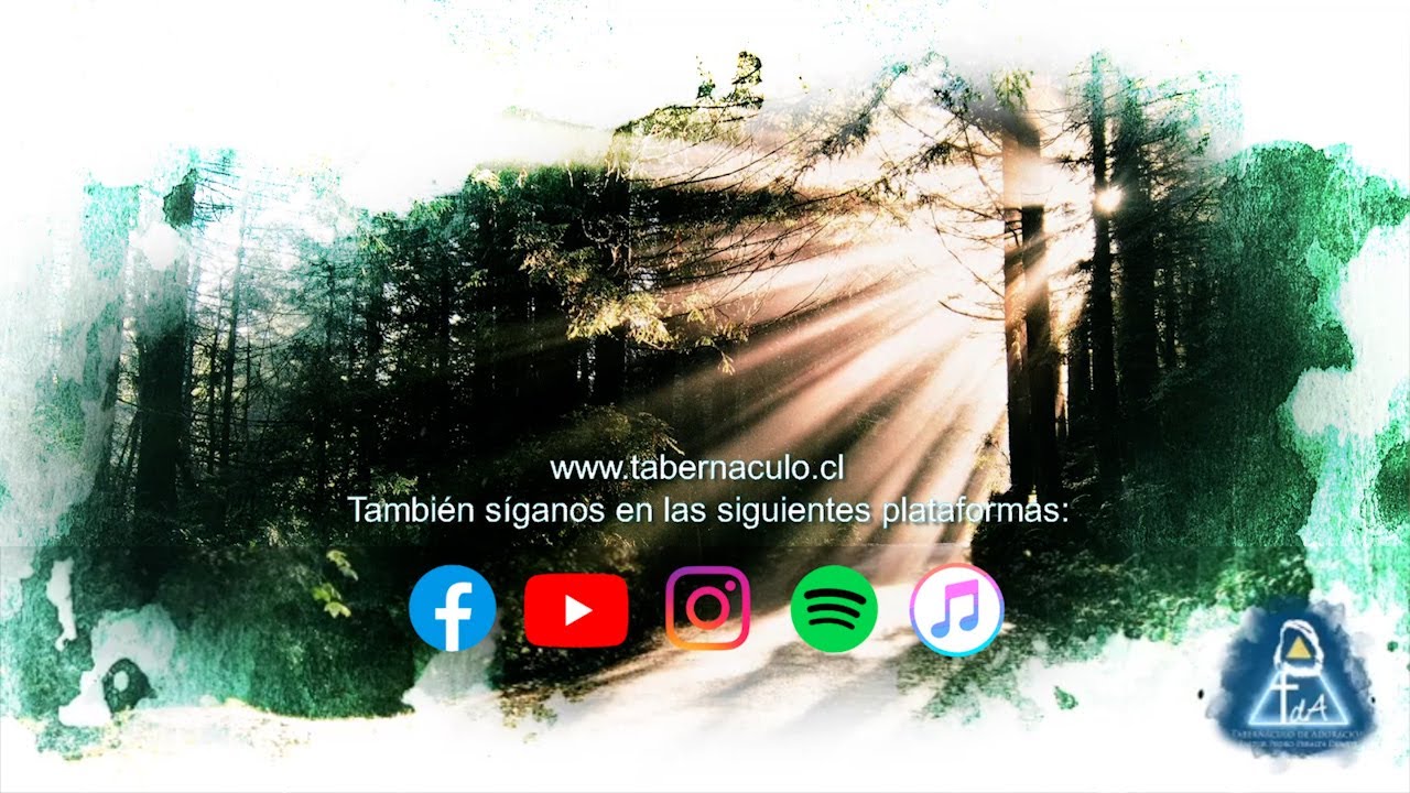 amado de mi alma ven pronto ya no tardes mas