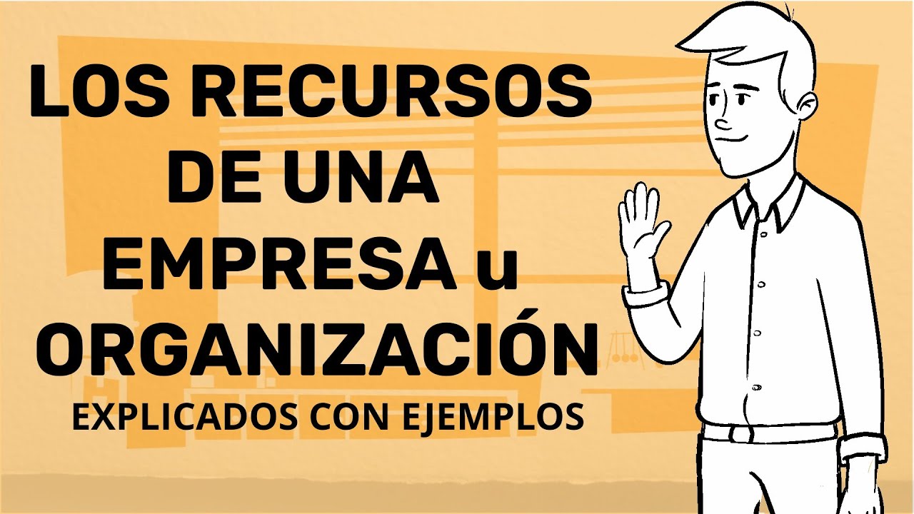 como se clasifican los recursos de una organizacion