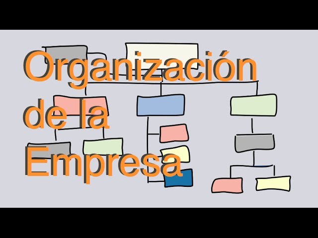 formas basicas de la organizacion de una empresa