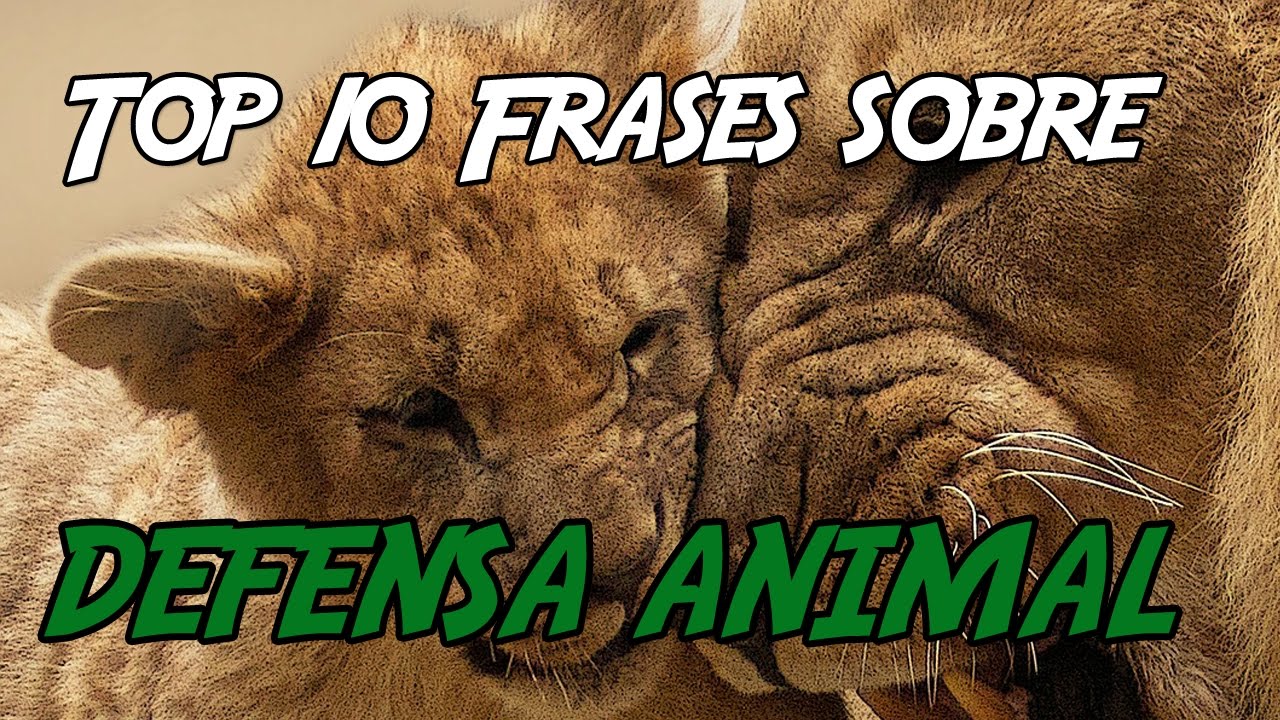 frase carteles de animales en peligro de extincion