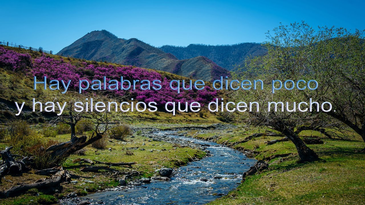 hay palabras que dicen poco y silencios que dicen mucho