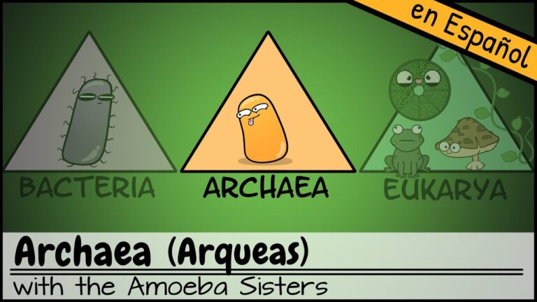 La Importancia Economica Y Ambiental De Las Archaeas