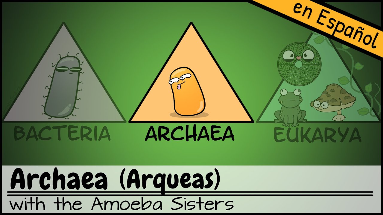 la importancia economica y ambiental de las archaeas
