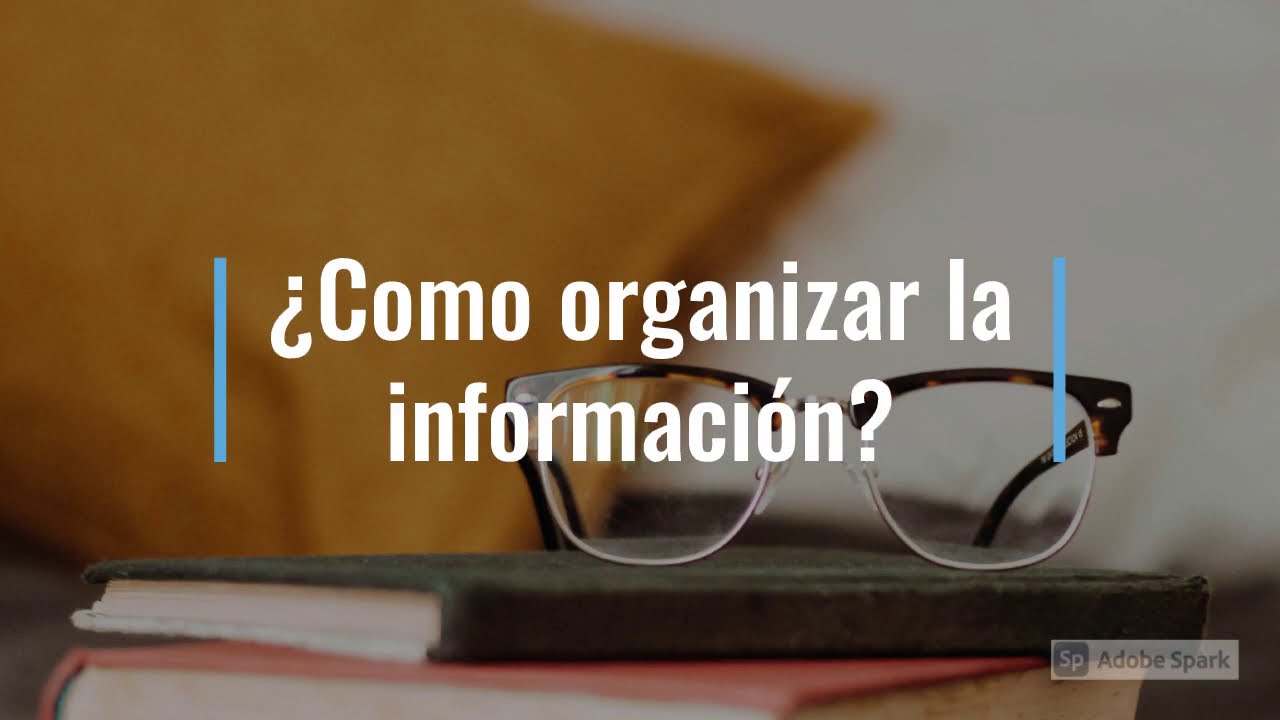 maneras de organizar la informacion de un texto