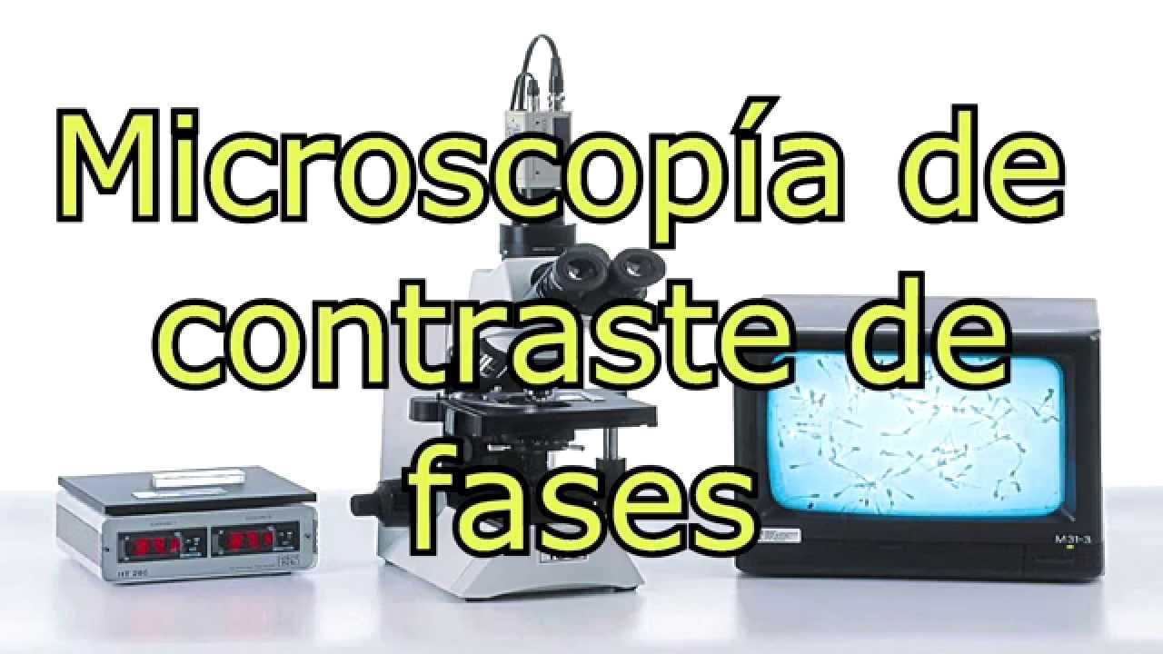 preparacion de muestras para microscopio de contraste de fases