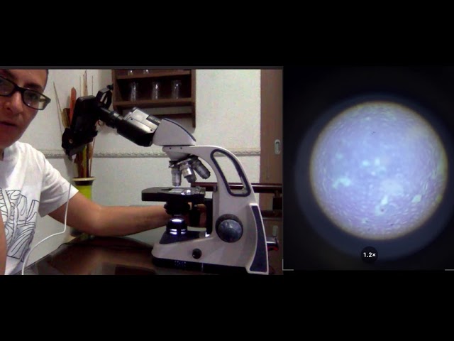 que es el tornillo micrometrico de un microscopio