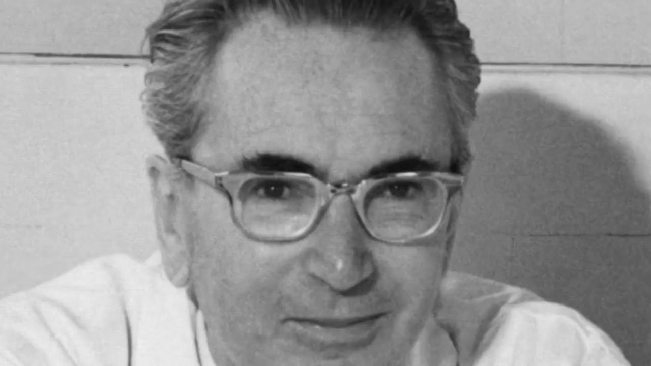 que es la libertad interior segun viktor frankl