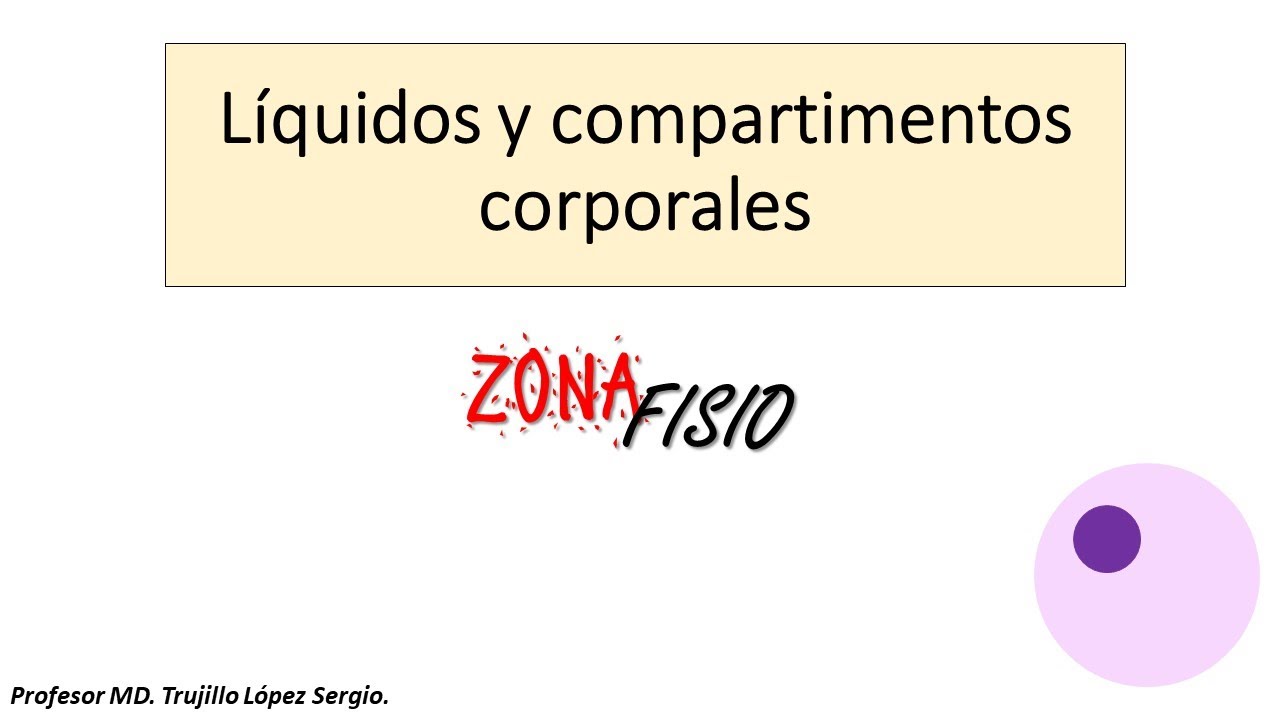 regulación de la composición iónica de la sangre
