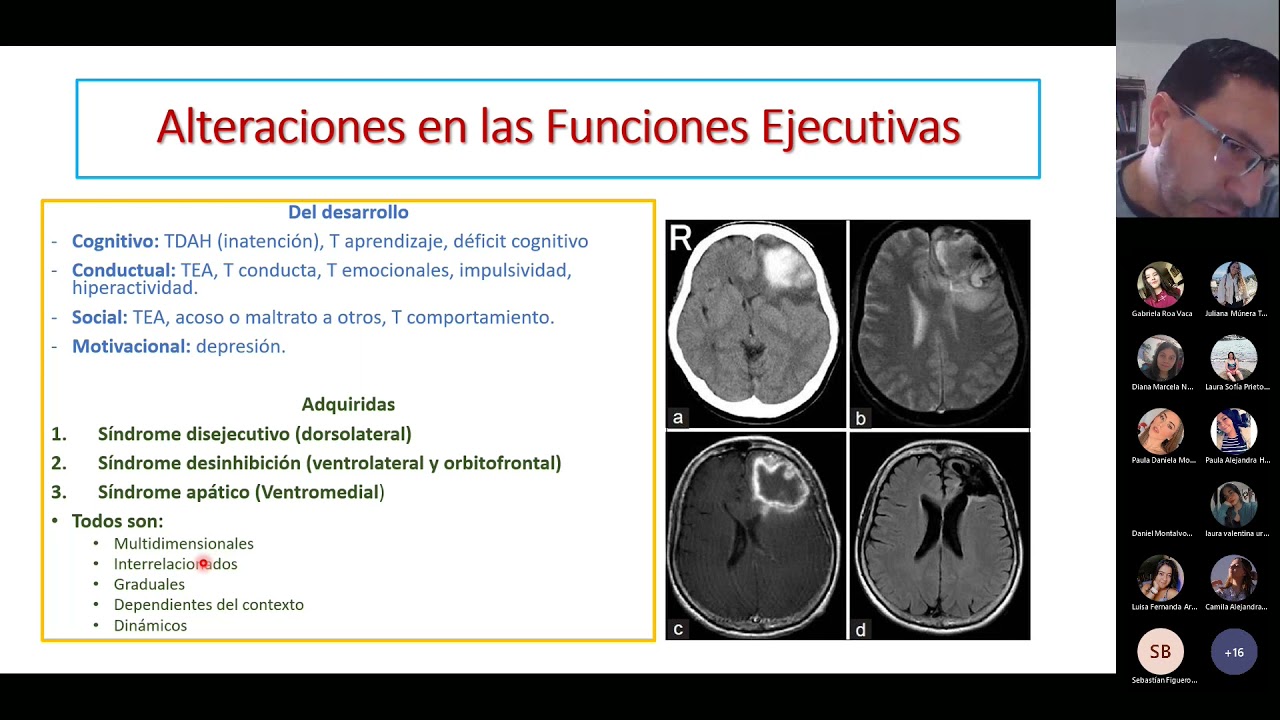 trastornos de las funciones ejecutivas diagnóstico y tratamiento